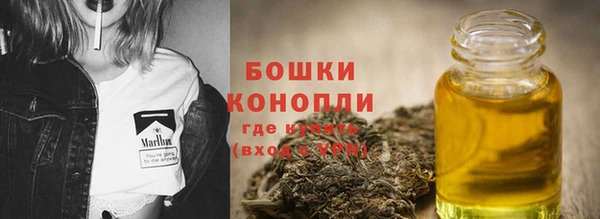 PSILOCYBIN Балабаново