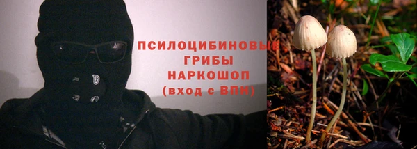 ешки Беломорск