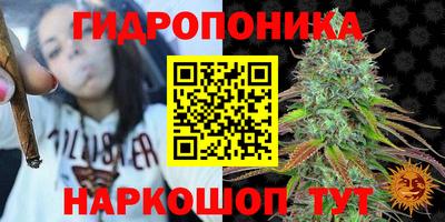 тгк Севастополь