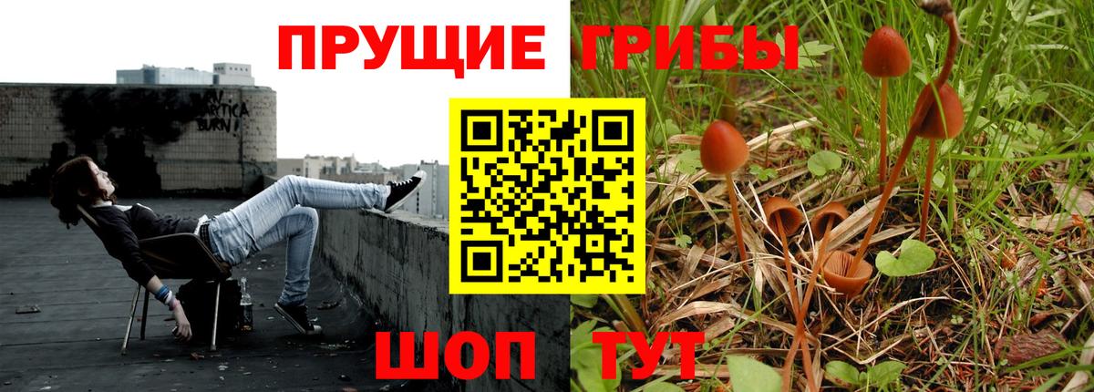Псилоцибиновые грибы GOLDEN TEACHER Обь