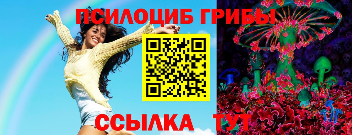 Псилоцибиновые грибы прущие грибы  Вход с VPN  Галлюциногенные грибы мицелий  где купить   Обь 